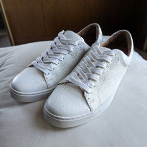 NEVER WORN! Frye Ivy Low Lace Sneakers | Size 8